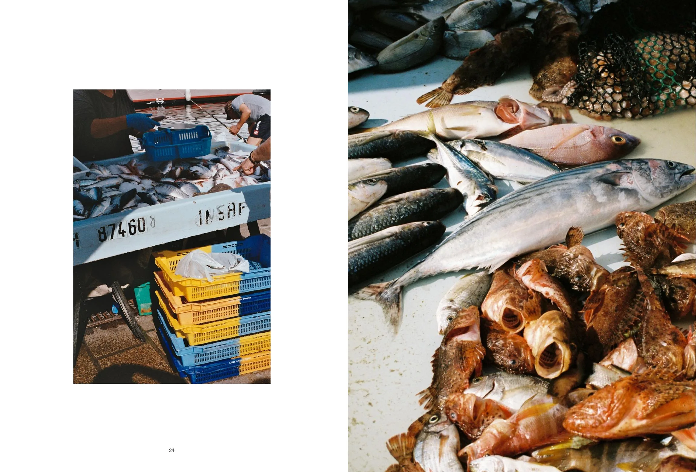 TAKE AWAY MAGAZINE NUMERO 1 – visuel 8